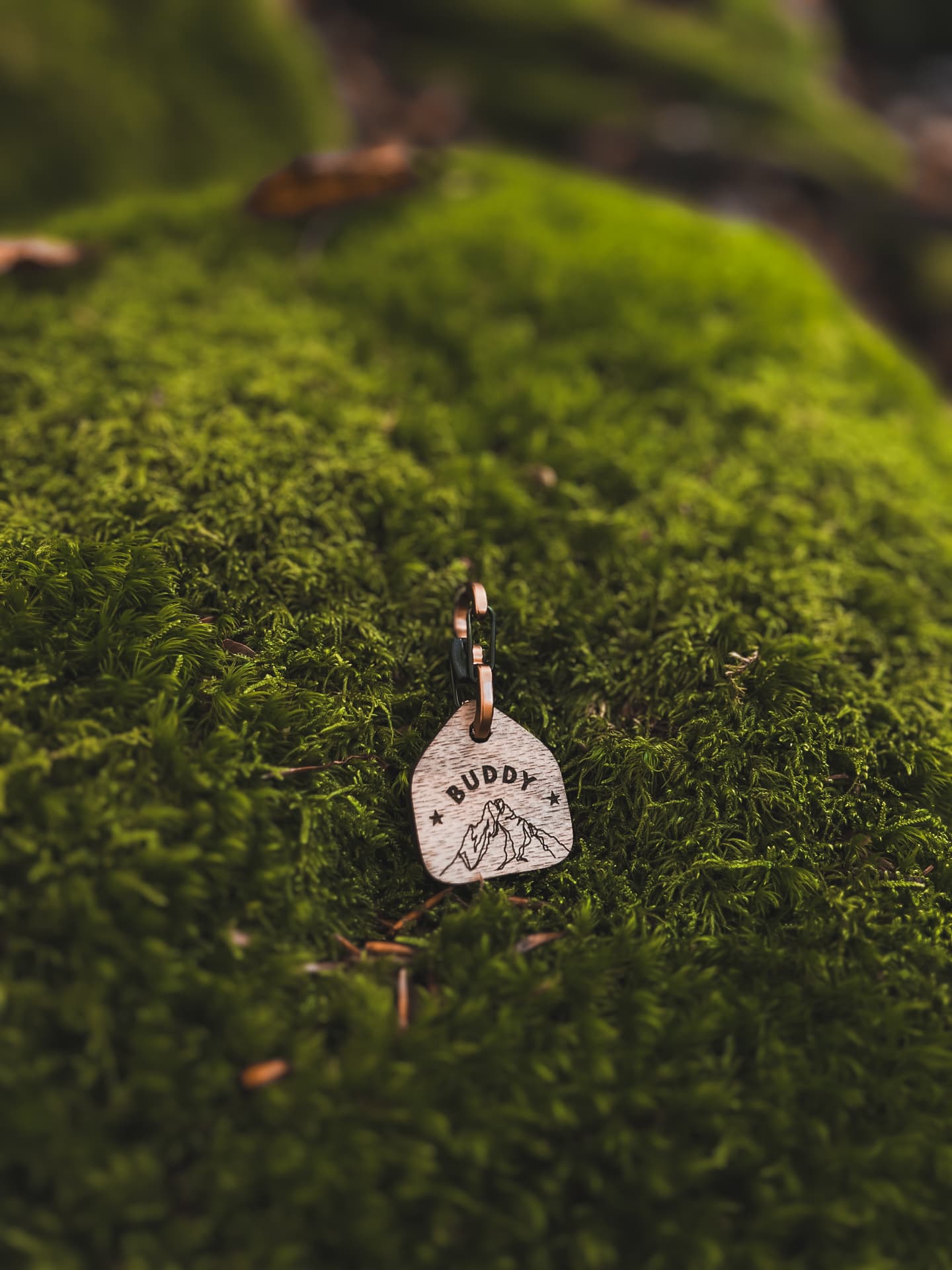 Médaille en bois modèle Buddy