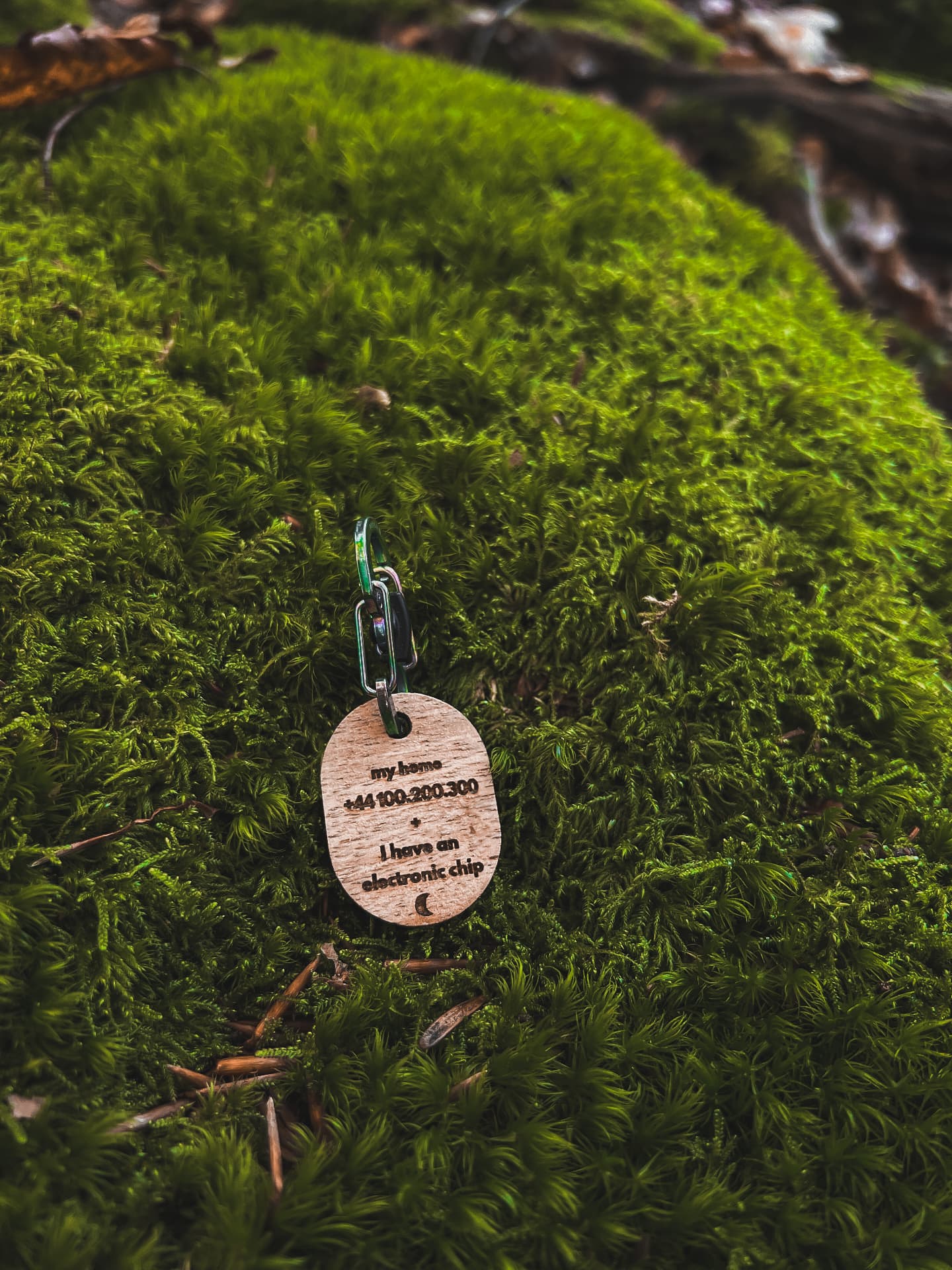 Modèle Foresta — photo 4