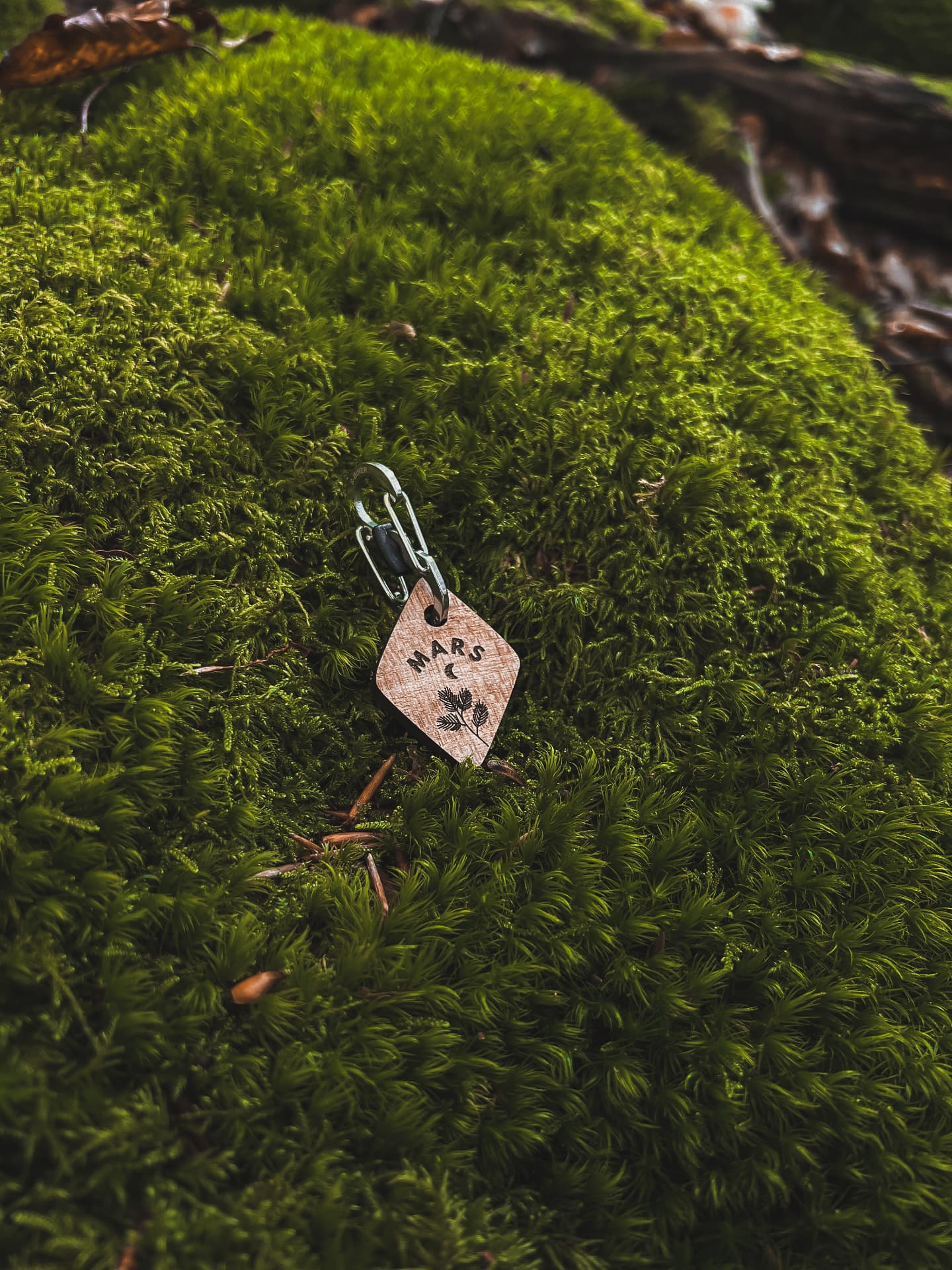 Médaille en bois modèle Mars