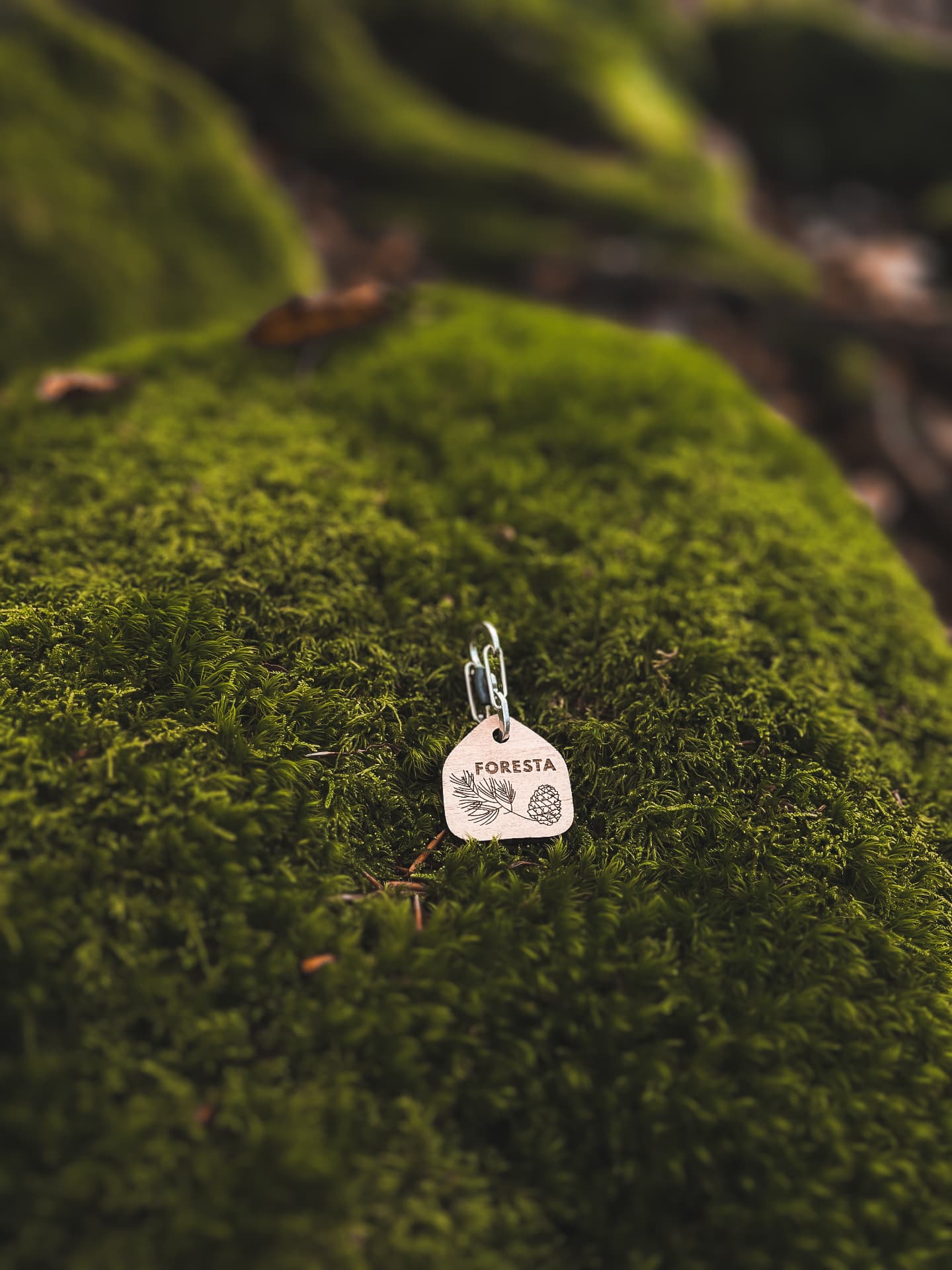 Médaille en bois modèle Foresta